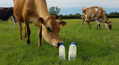 Gorsehill Abbey Farm